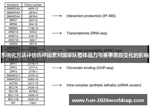 系统化方法评估伤停因素对国家队整体战力与赛事表现变化的影响