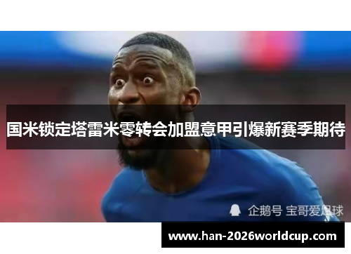 国米锁定塔雷米零转会加盟意甲引爆新赛季期待 国米锁定塔雷米零转会加盟意甲引爆新赛季期待